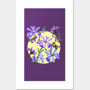 Irises and Butterflies Posters and Art
